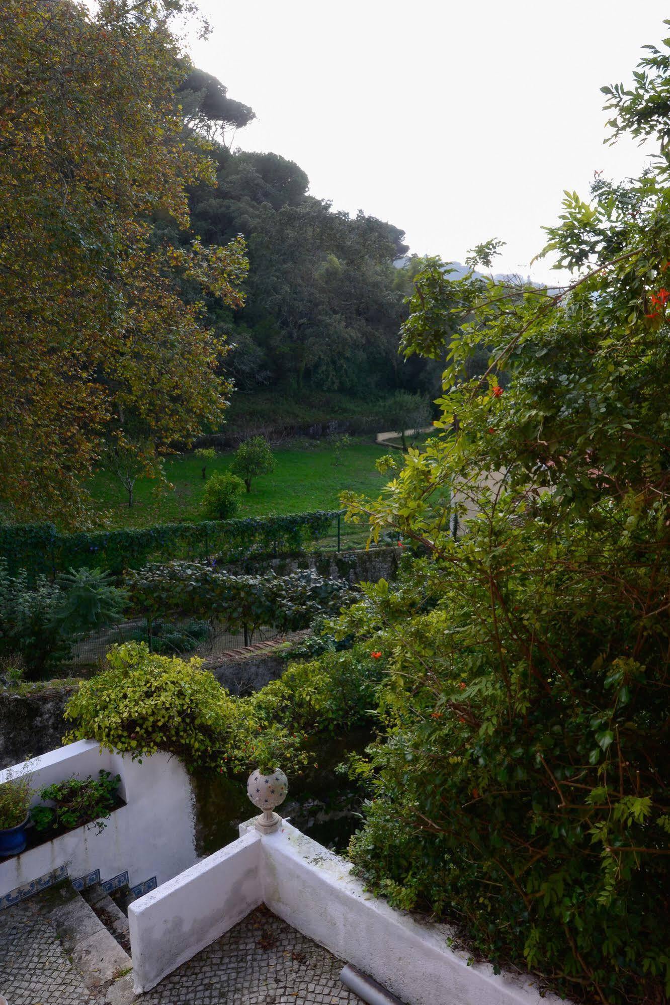 Quinta De Sao Tadeu Pensión 4*
